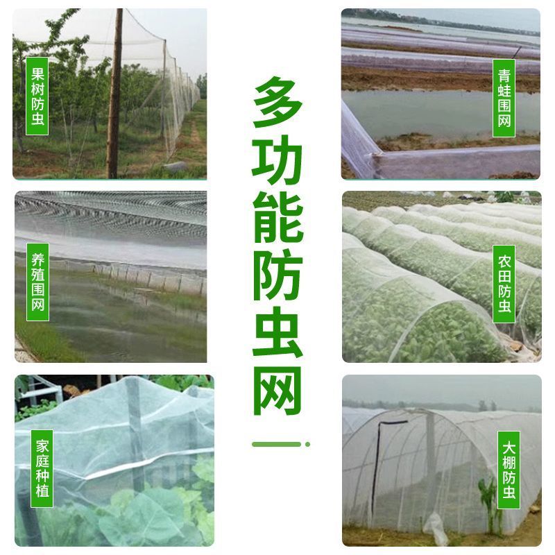 防虫网60目80目100目全新料蔬菜大棚防虫网量大从优