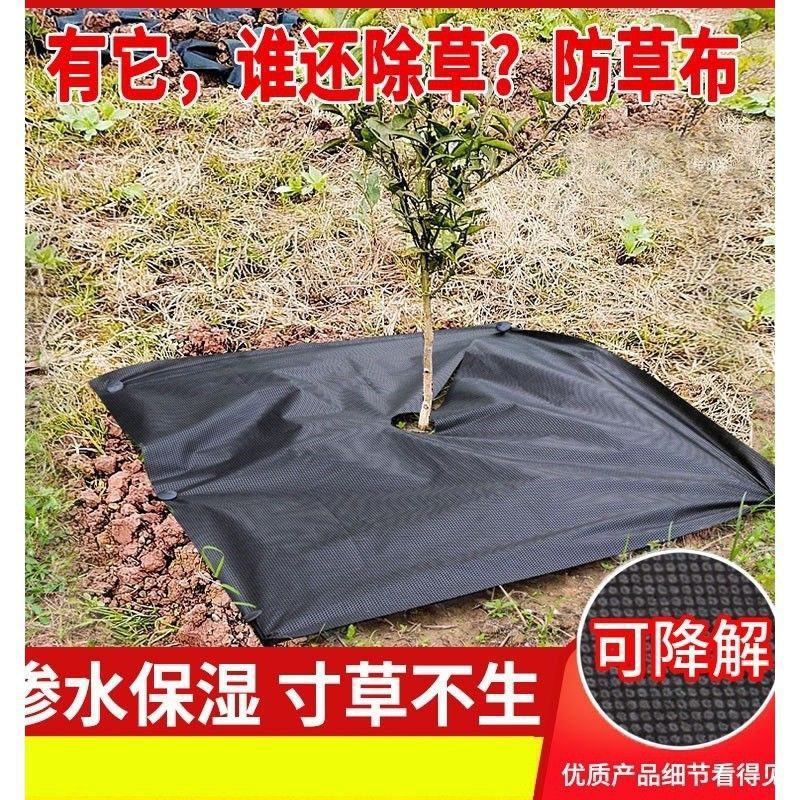 打孔除草布切片除草布抗氧化长期使用全新料除草布