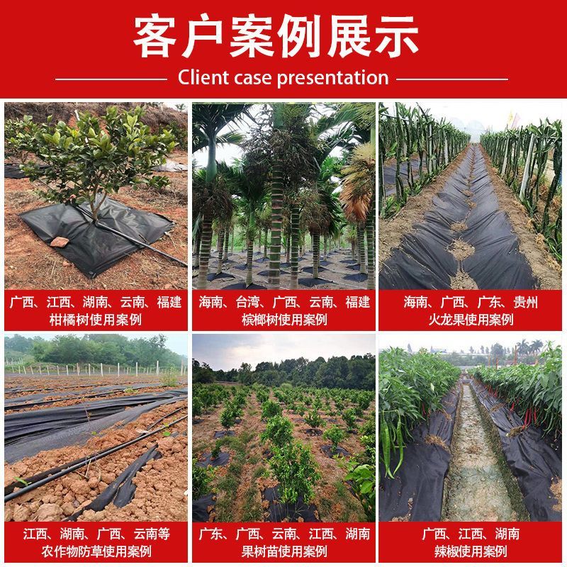 打孔除草布切片除草布抗氧化长期使用全新料除草布