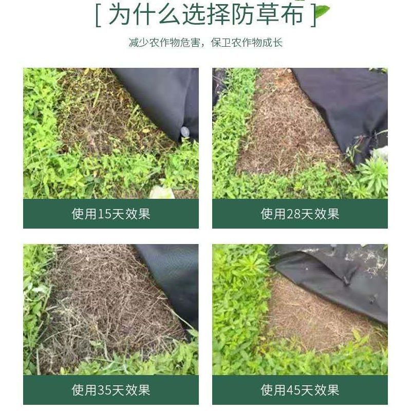 打孔除草布切片除草布抗氧化长期使用全新料除草布