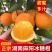 正宗麻阳冰糖橙一件代发直播团队合作