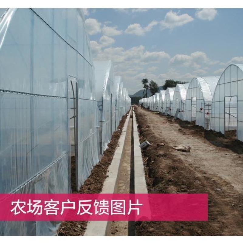大棚膜无滴膜PO蔬菜灌浆防雾透明薄膜鱼塘养殖黑白膜食用菌