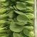 新鲜青菜诚信经营品质保证货源充足量大从优