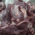 五花肉三线肉