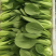 新鲜青菜诚信经营品质保证货源充足量大从优