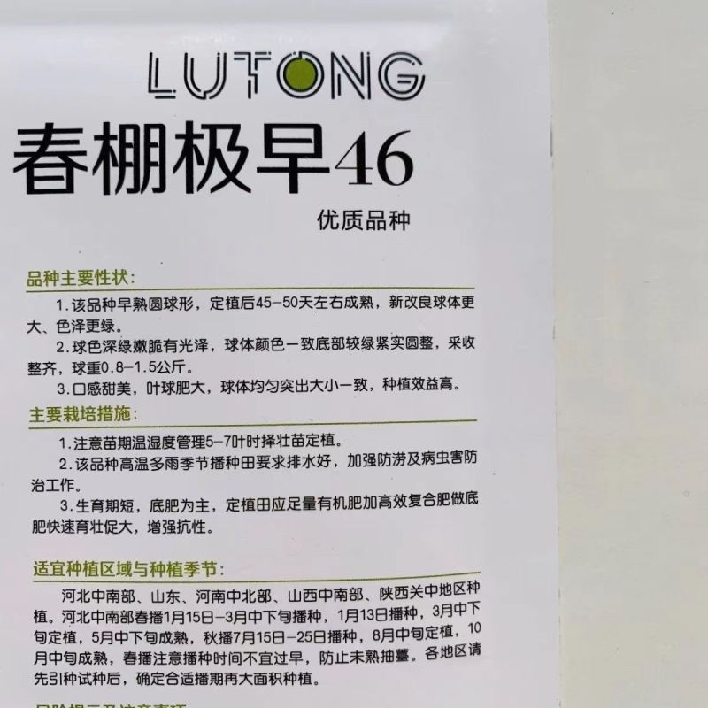 璐通甘蓝种子春棚极早46甘兰种子早熟耐寒圆球形结球甘蓝种