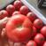 【精】四川西红柿硬粉西红柿米易番茄产地直发全国市场欢迎来电
