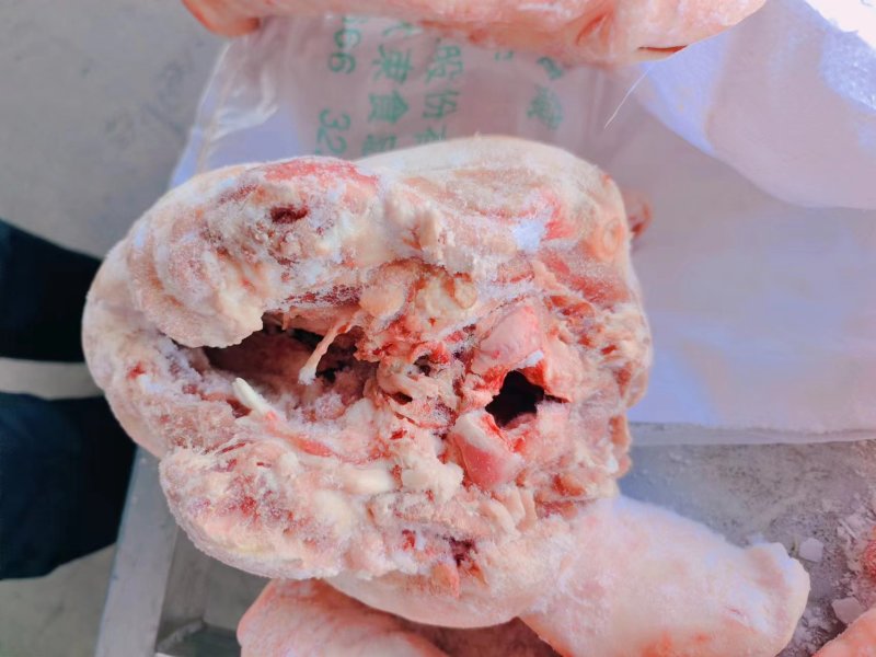 带耳朵小猪头，精修处理干净无毛，带核桃肉，价格超低超低