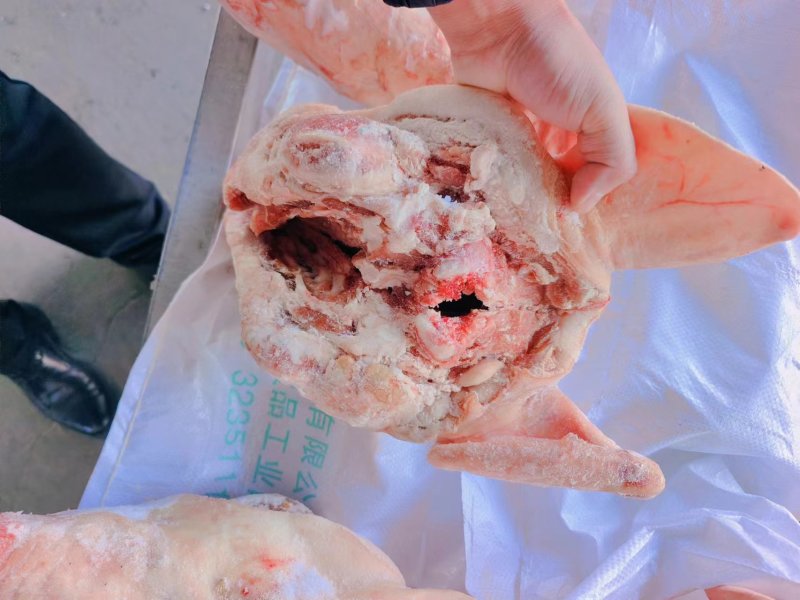 带耳朵小猪头，精修处理干净无毛，带核桃肉，价格超低超低