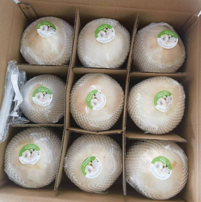 一件代发海南文昌椰子椰青全国发货品质保证