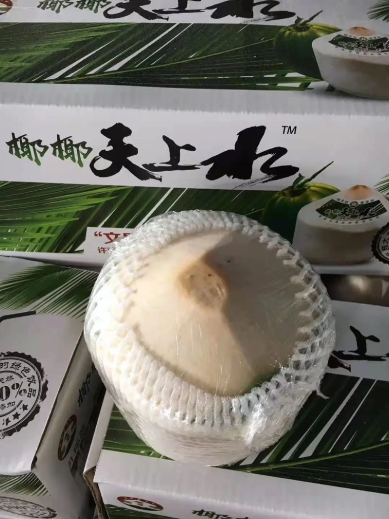 一件代发海南文昌椰子椰青全国发货品质保证