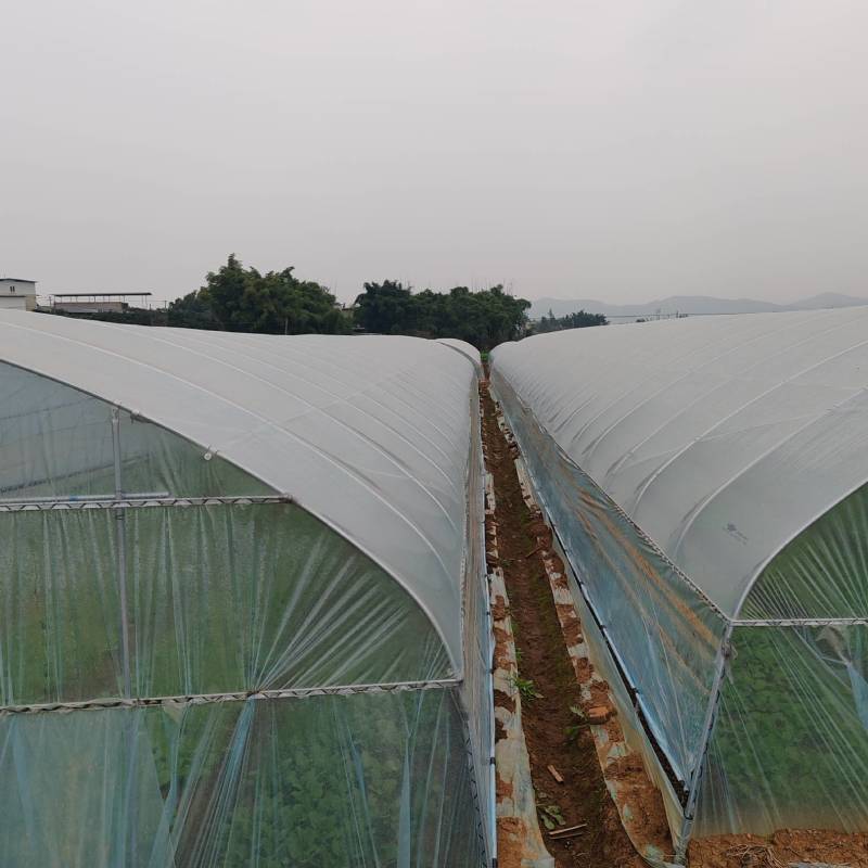 全新蔬菜大棚转让