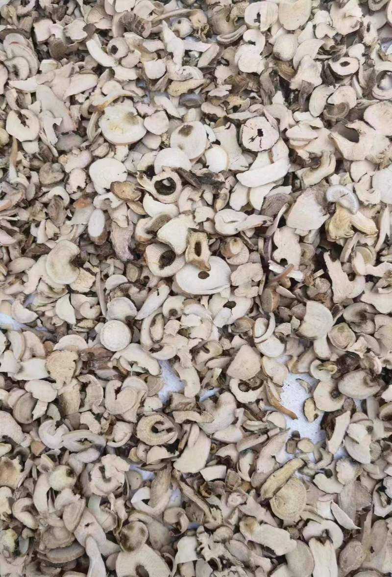 白芍次片价格便宜需要大货可以细聊