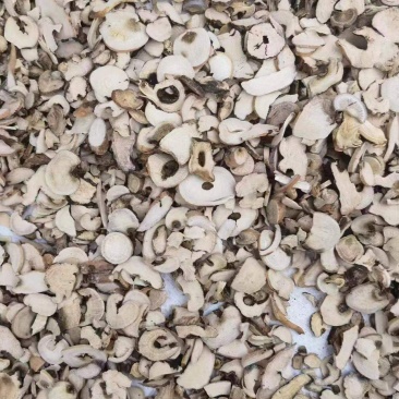 白芍次片价格便宜需要大货可以细聊