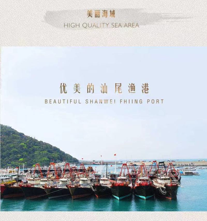 章鱼9头一斤