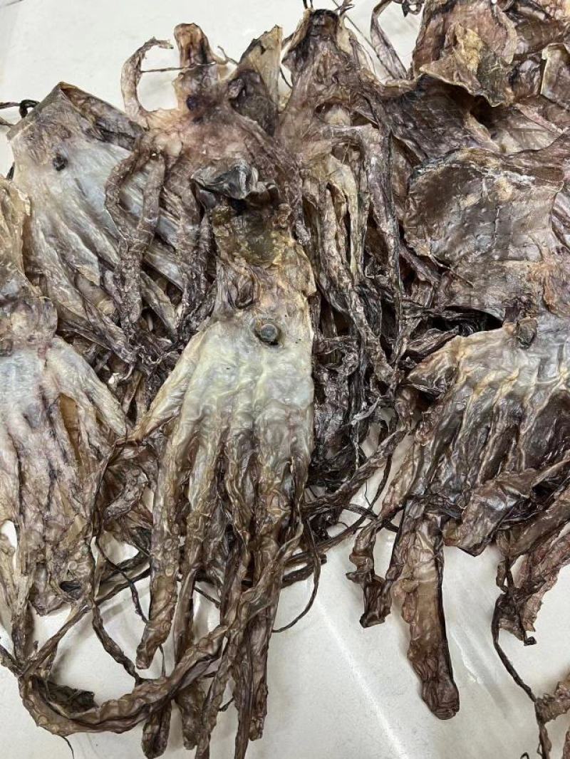 章鱼9头一斤