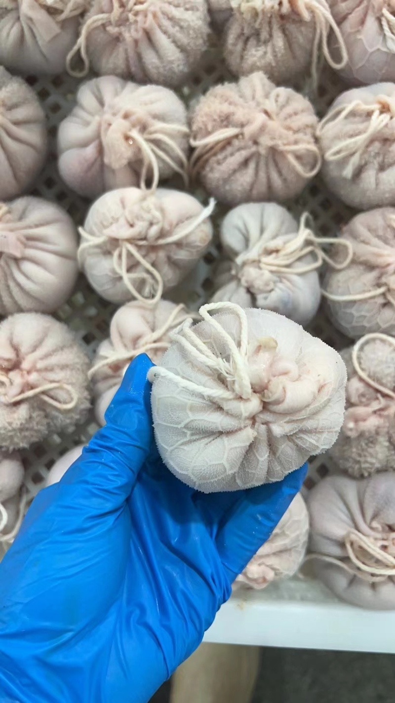 精选肚包脑肚包肉全部现货供应一手货源价格实惠品质保证
