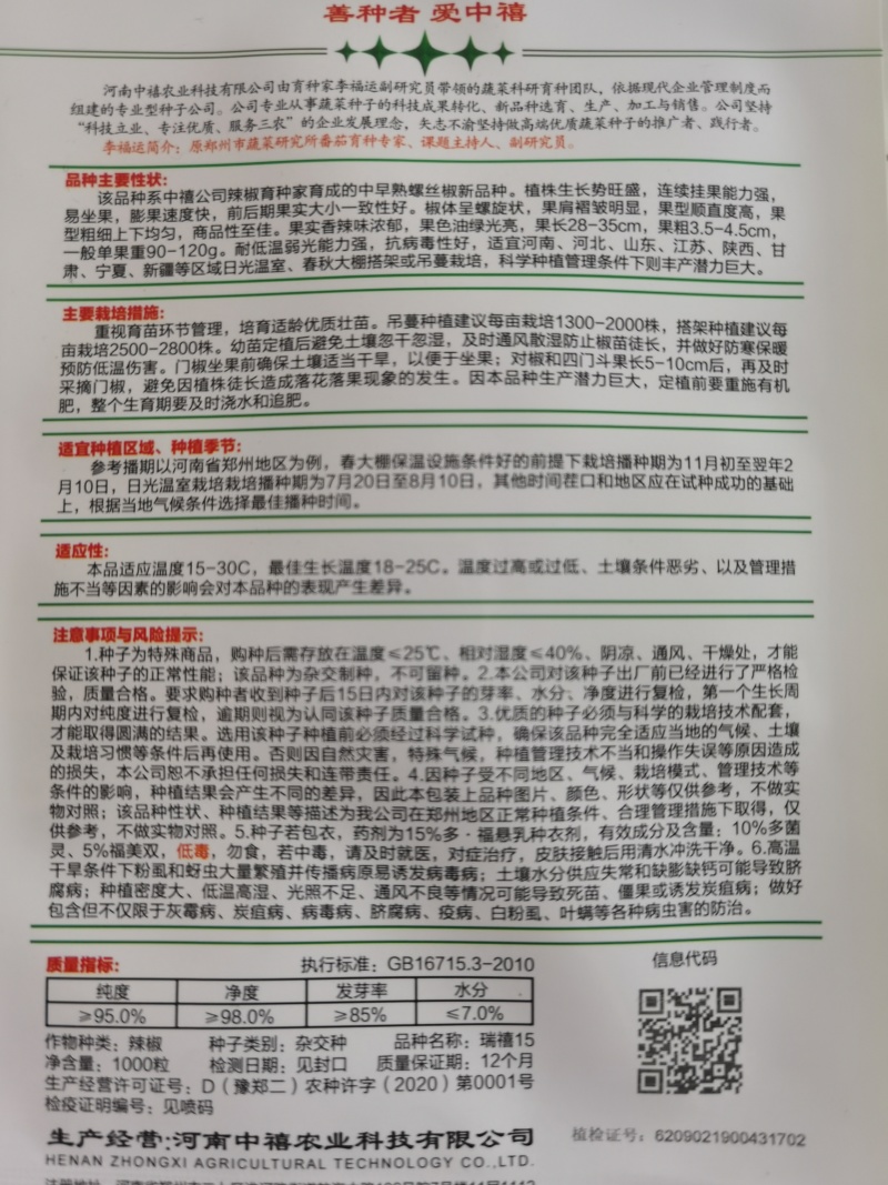 螺丝椒种子易坐果膨果速度快果色油渌光亮果实香辣味浓郁