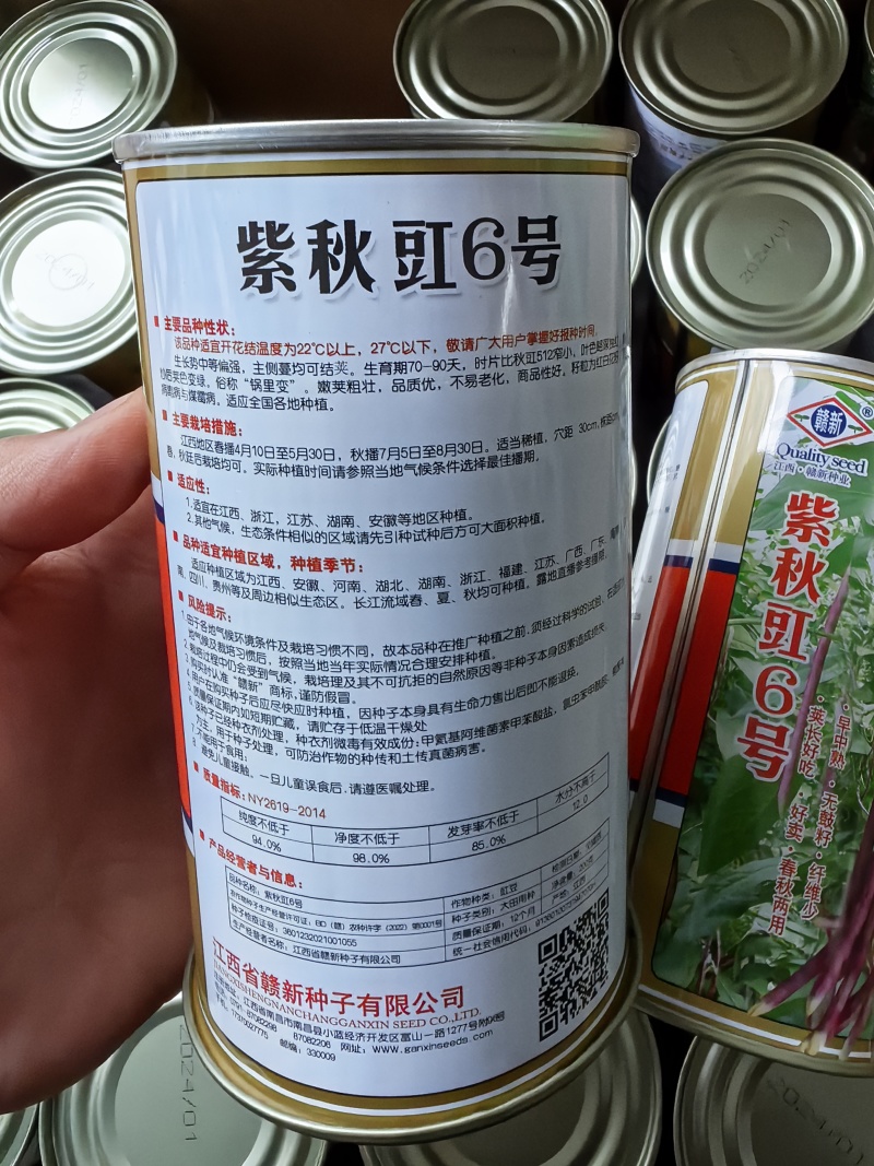 紫豇豆种子紫秋豇6号春秋红豇豆种籽长紫红皮长豆角耐热架豆