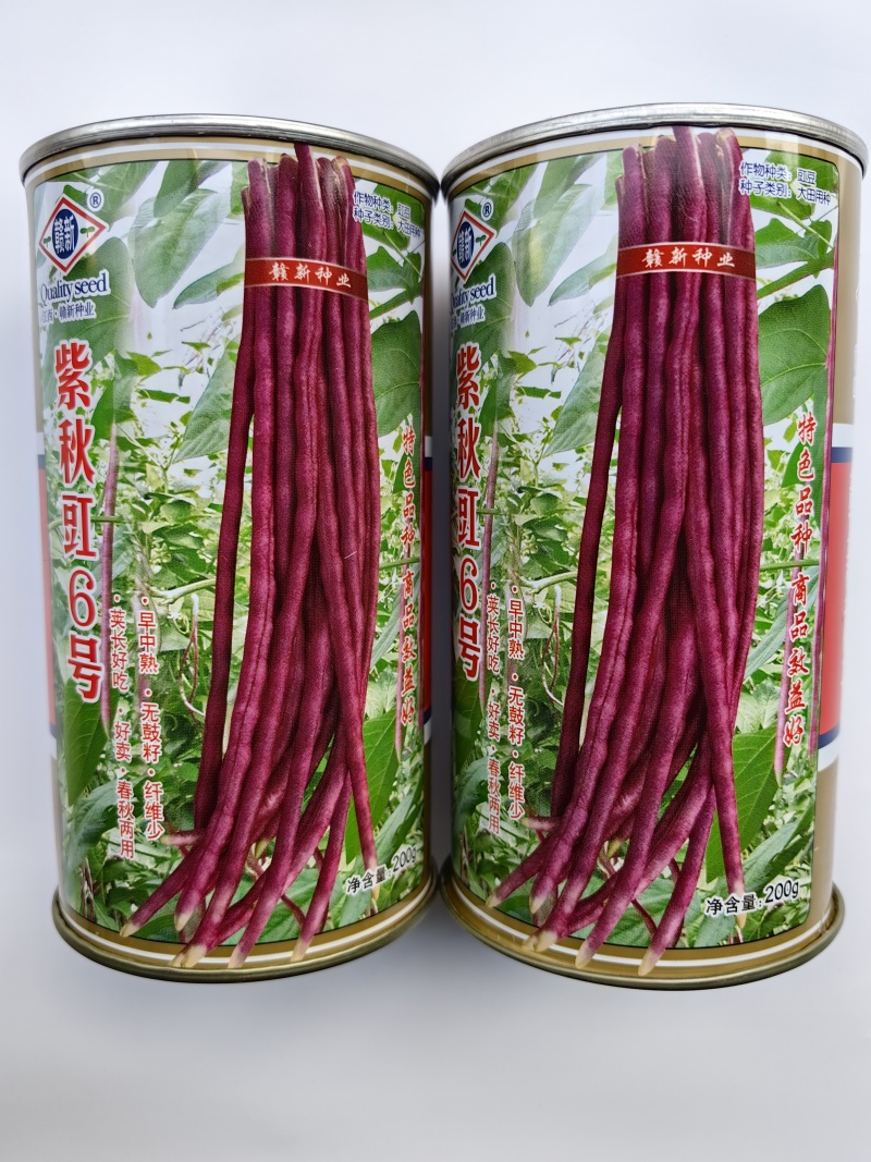 紫豇豆种子紫秋豇6号春秋红豇豆种籽长紫红皮长豆角耐热架豆