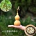 特小手捻葫芦种子盆栽阳台庭院种植大中号文玩微型葫芦苗籽可