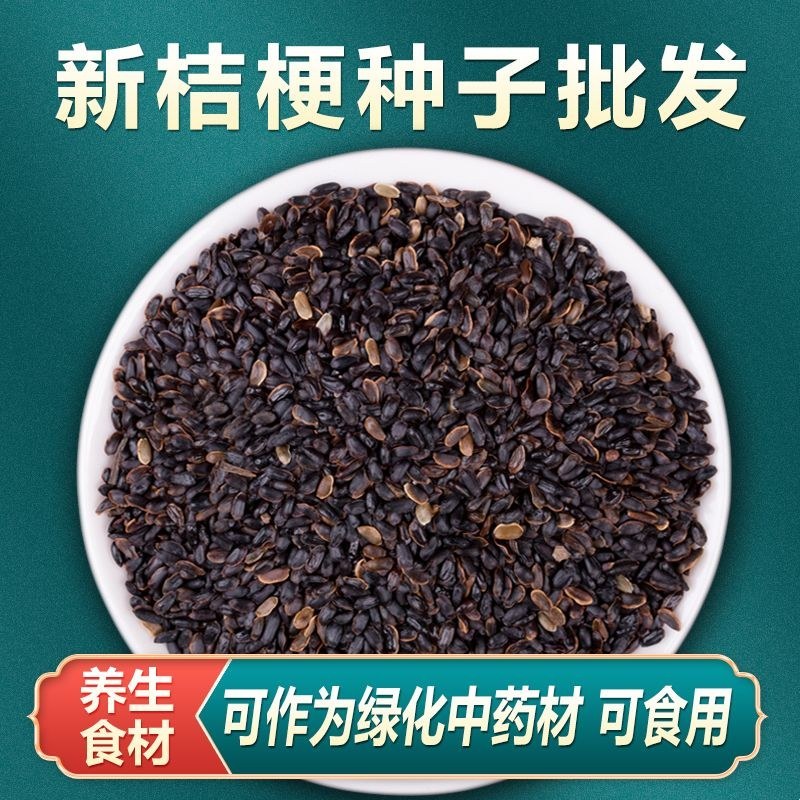 新产桔梗种子狗宝菜种子桔梗籽洋桔梗花种子中药材桔梗