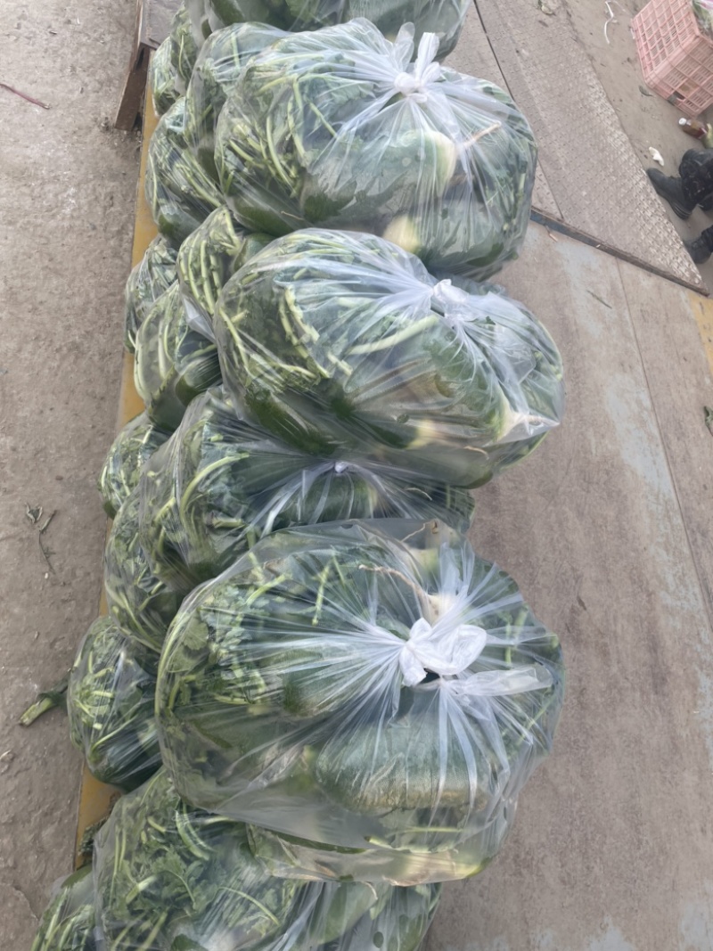 需要的朋友可以联系我