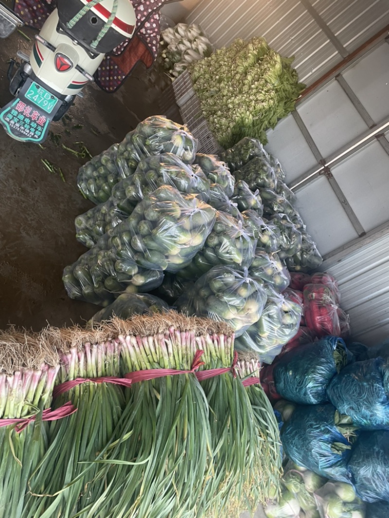 需要的朋友可以联系我