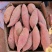 精品西瓜红，烟薯25大量供应。烟薯21软糯香甜
