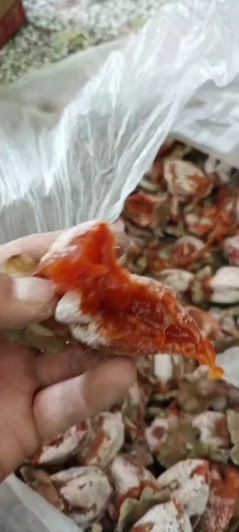 柿饼需要的联系