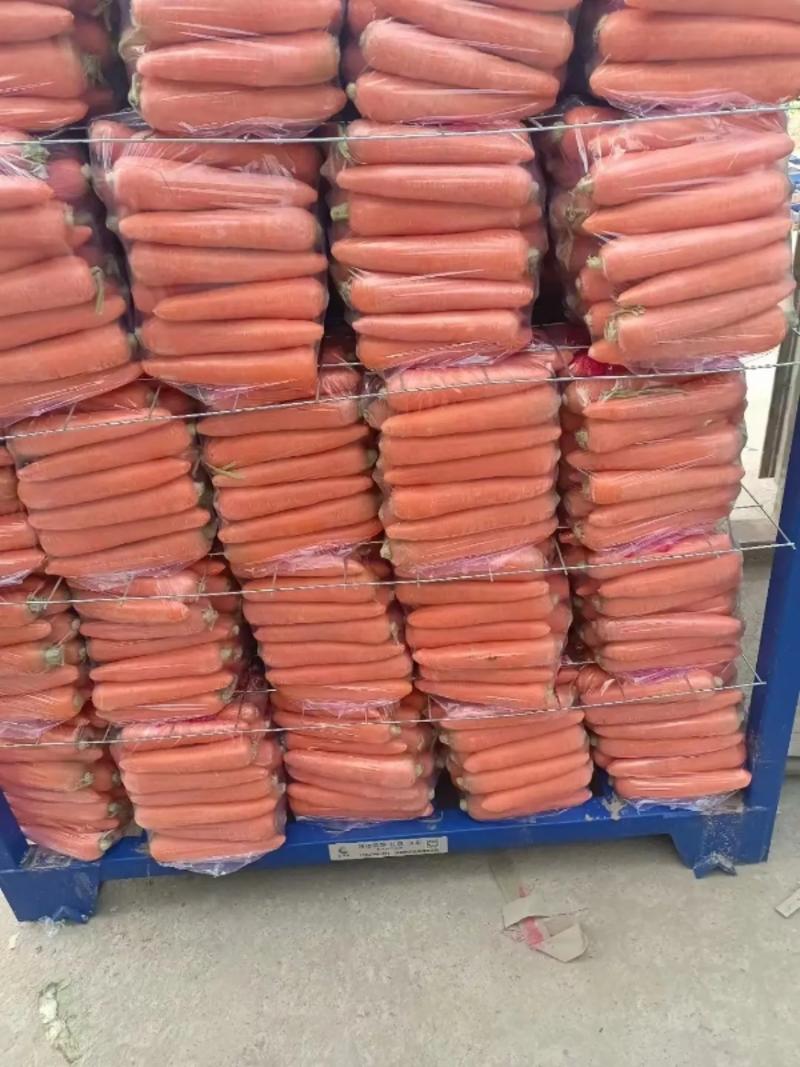 【三红胡萝卜】开封水洗胡萝卜中大条量大优惠协助找车包装