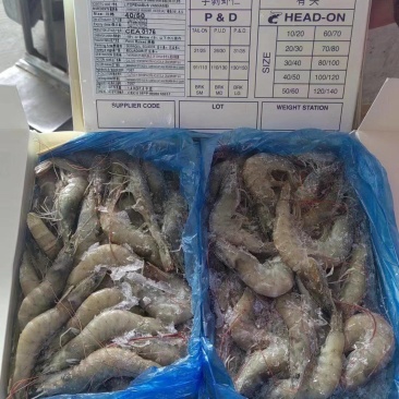 大虾