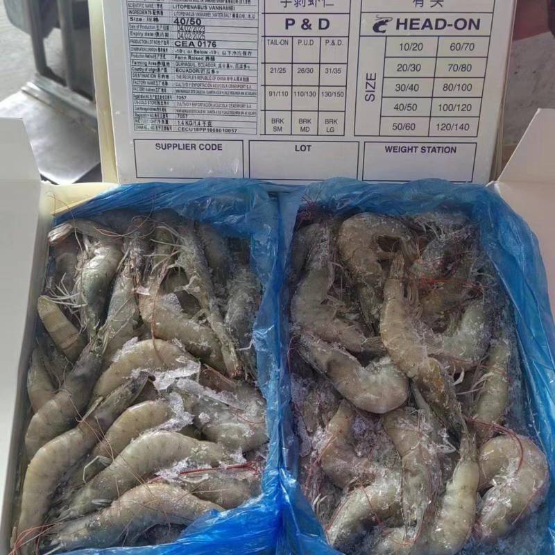 大虾