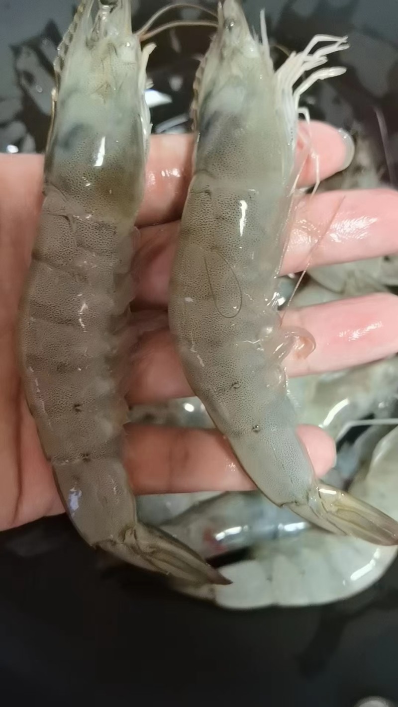 大虾