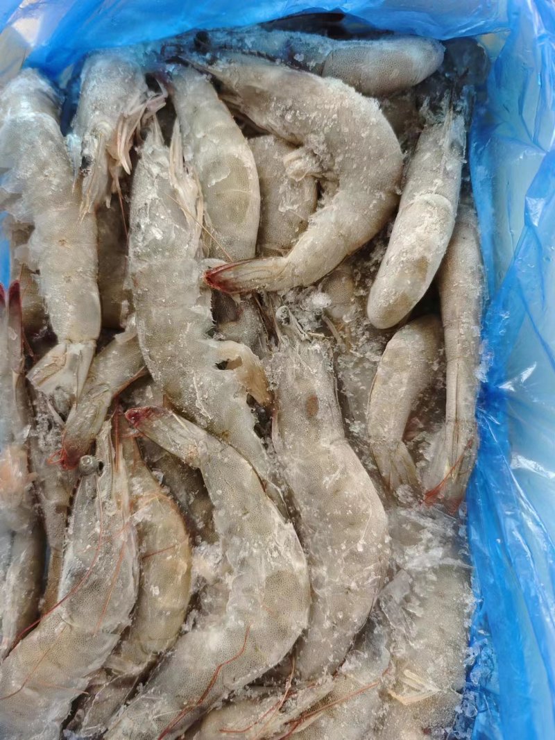 大虾