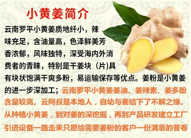 云南小黄姜粉干姜粉食用特正品级生姜粉纯姜老姜粉