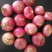 出售二红洋葱