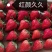 奶油草莓红颜久久草莓货源充足