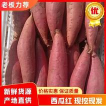 【实力】饶阳西瓜红红薯条形好口感甜保证质量诚信发货