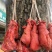 四川腊肉柏树枝柴火熏腊肉腊猪鼻猪拱嘴腊味农家烟熏