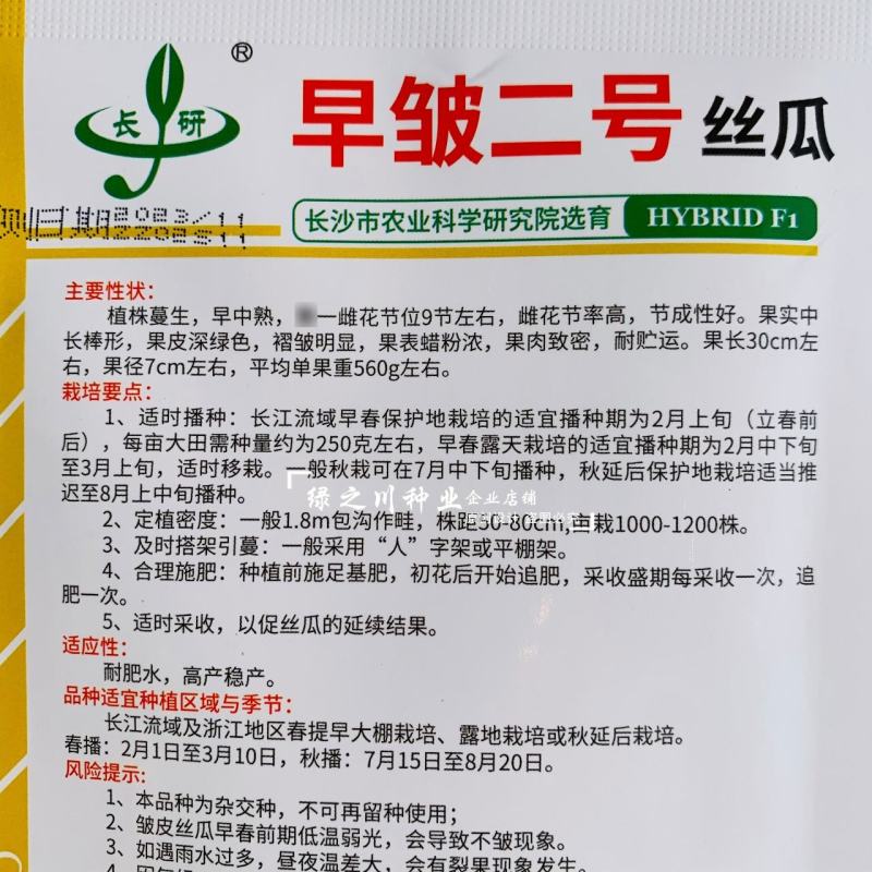 春润早皱二号丝瓜种子皱皮丝瓜种子耐热性强早熟高产褶皱明显