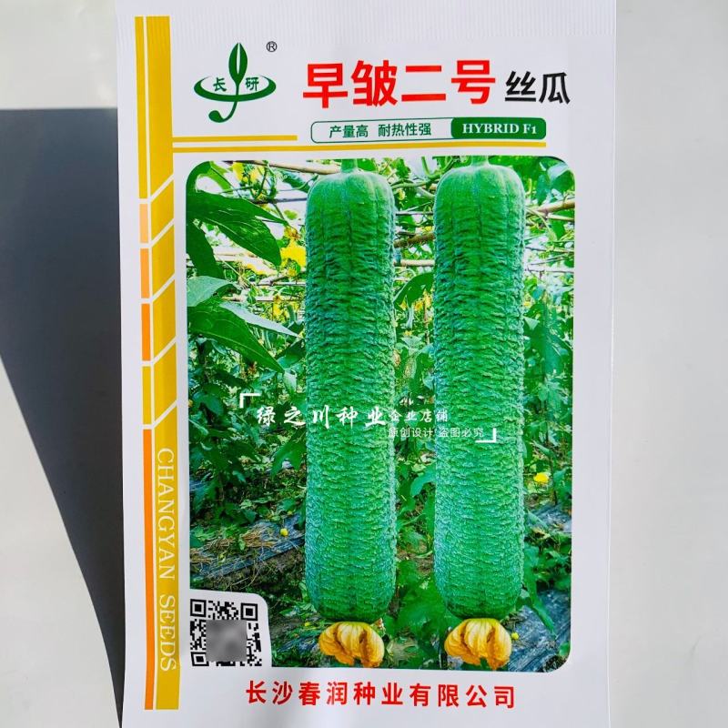 春润早皱二号丝瓜种子皱皮丝瓜种子耐热性强早熟高产褶皱明显
