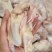 乳鸽老鸽子原粮乳鸽烧烤电商专用厂家供应