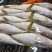 黄金鲅，规格1-1.50.5斤左右，适合市场批发。