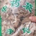 榆白皮榆树皮榆皮各种冷背药材齐全