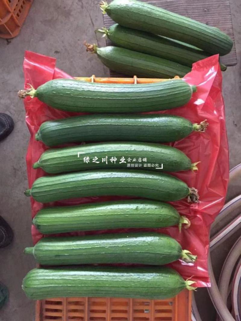 油靓油丝瓜种子短棒绿色油亮丝瓜种子油绿肉厚味浓不黑汤水瓜