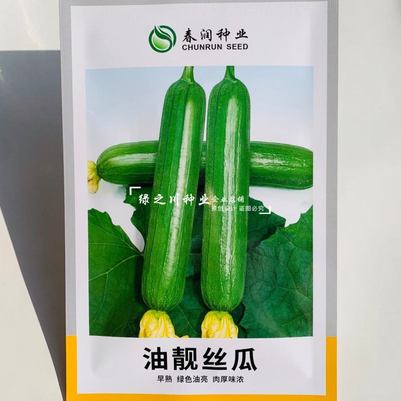 油靓油丝瓜种子短棒绿色油亮丝瓜种子油绿肉厚味浓不黑汤水瓜