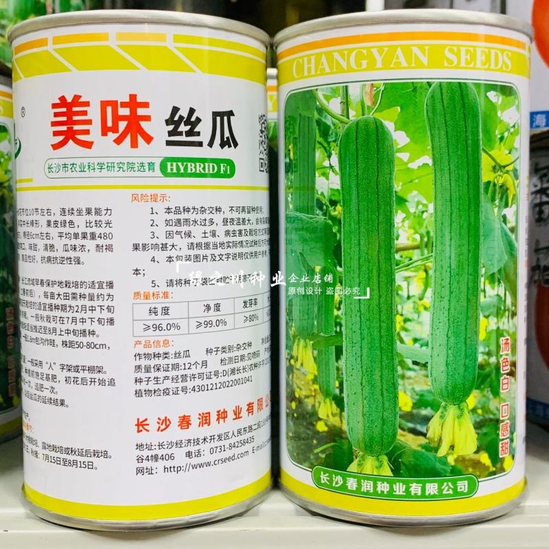 长沙农科院育成美味丝瓜种子白籽中长棒形丝瓜种子汤色白味甜