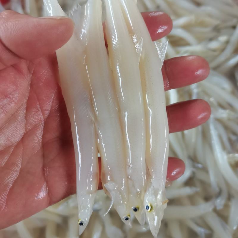 单冻大条银鱼