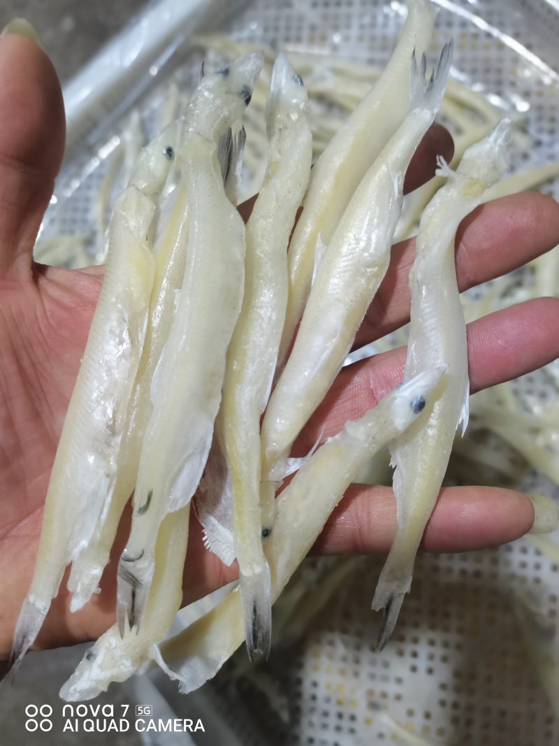 单冻大条银鱼
